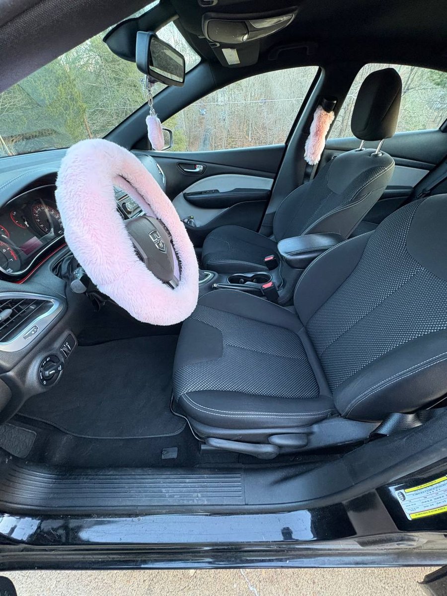 Interior detailing
