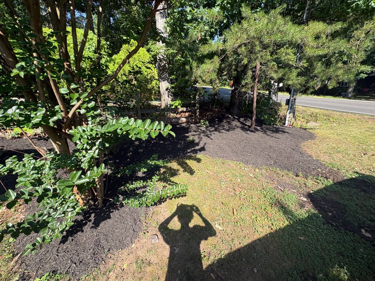 Mulched beds and trimmed trees