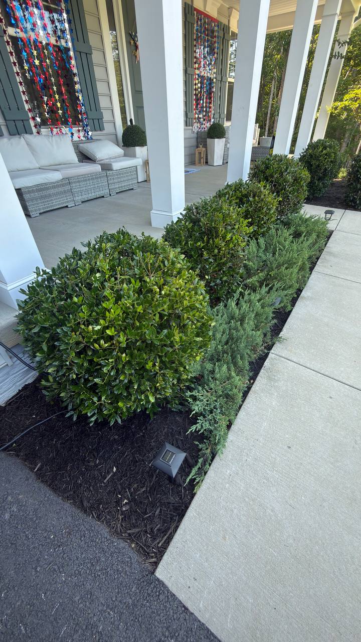 Freshly landscaped yard