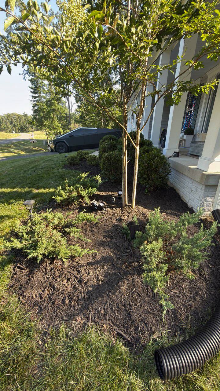 New landscaping bed